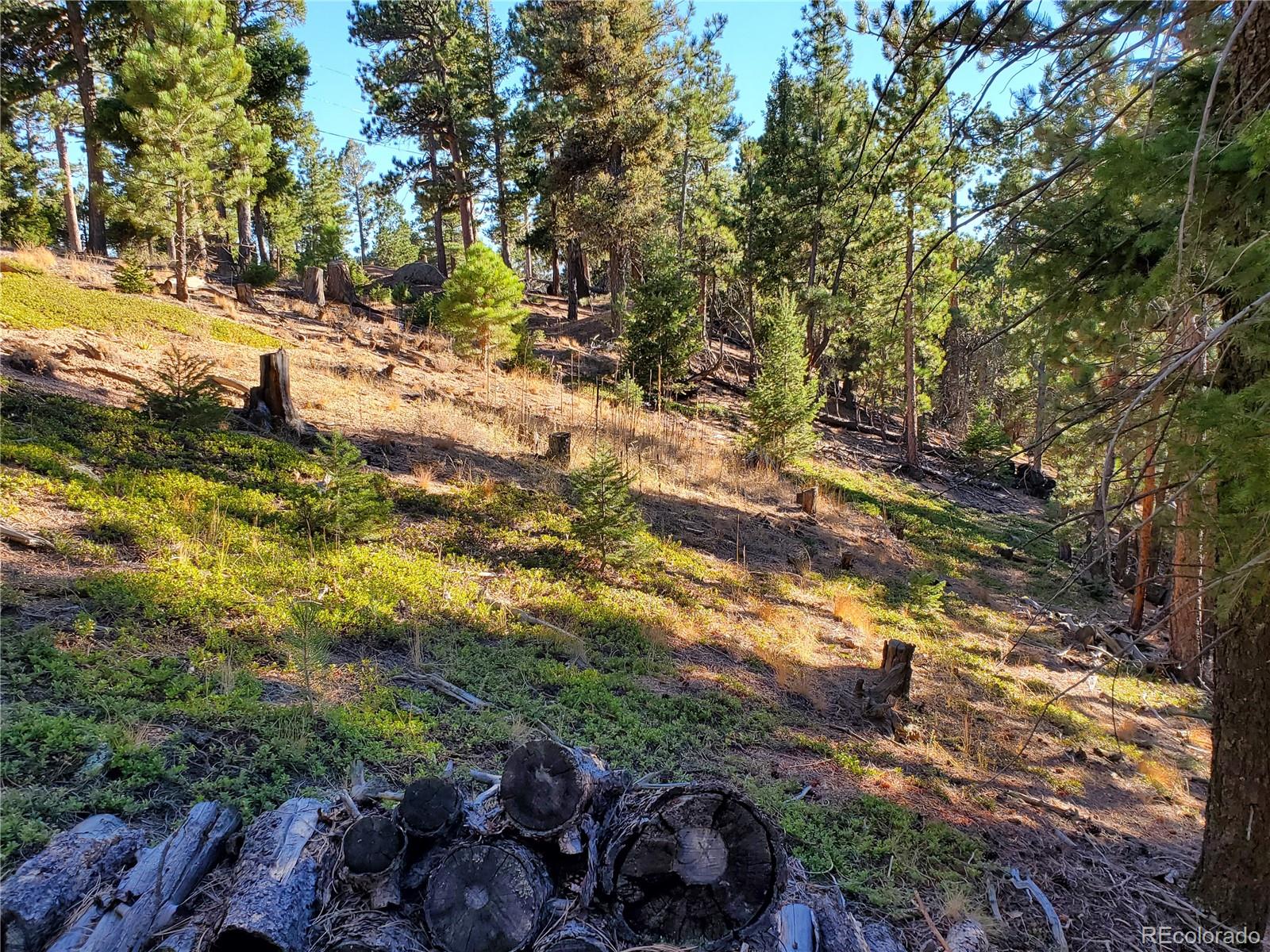 13985 Boulder Lane Larkspur CO 80118