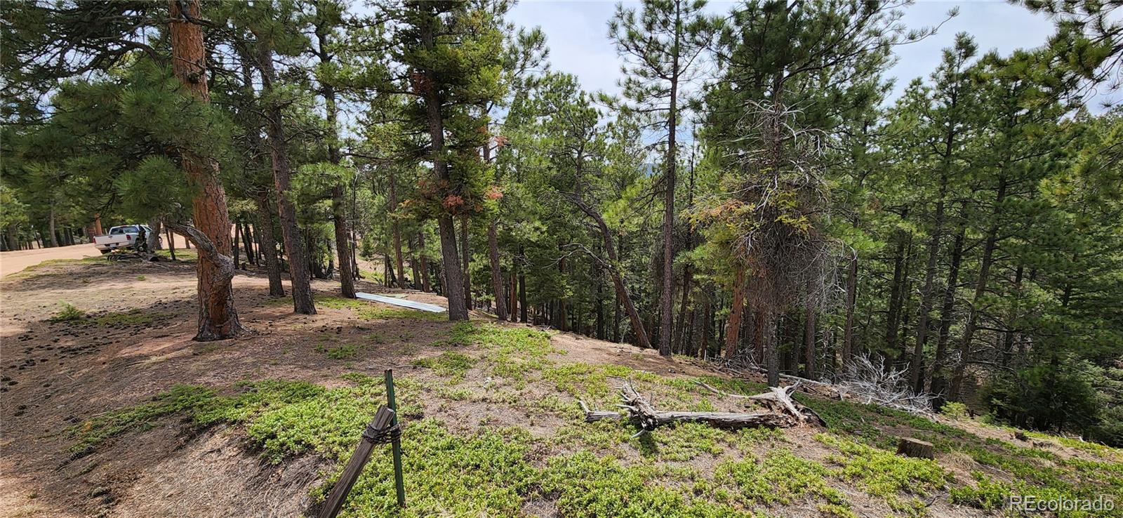 13985 Boulder Lane Larkspur CO 80118