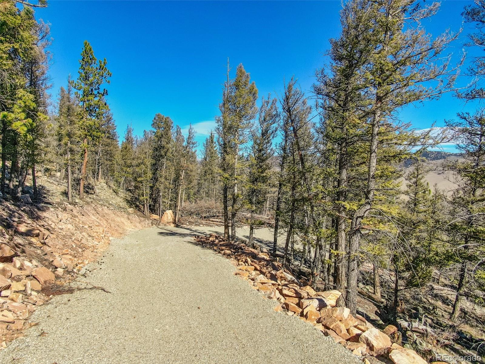 4538 Middle Fork Vista Fairplay CO 80440