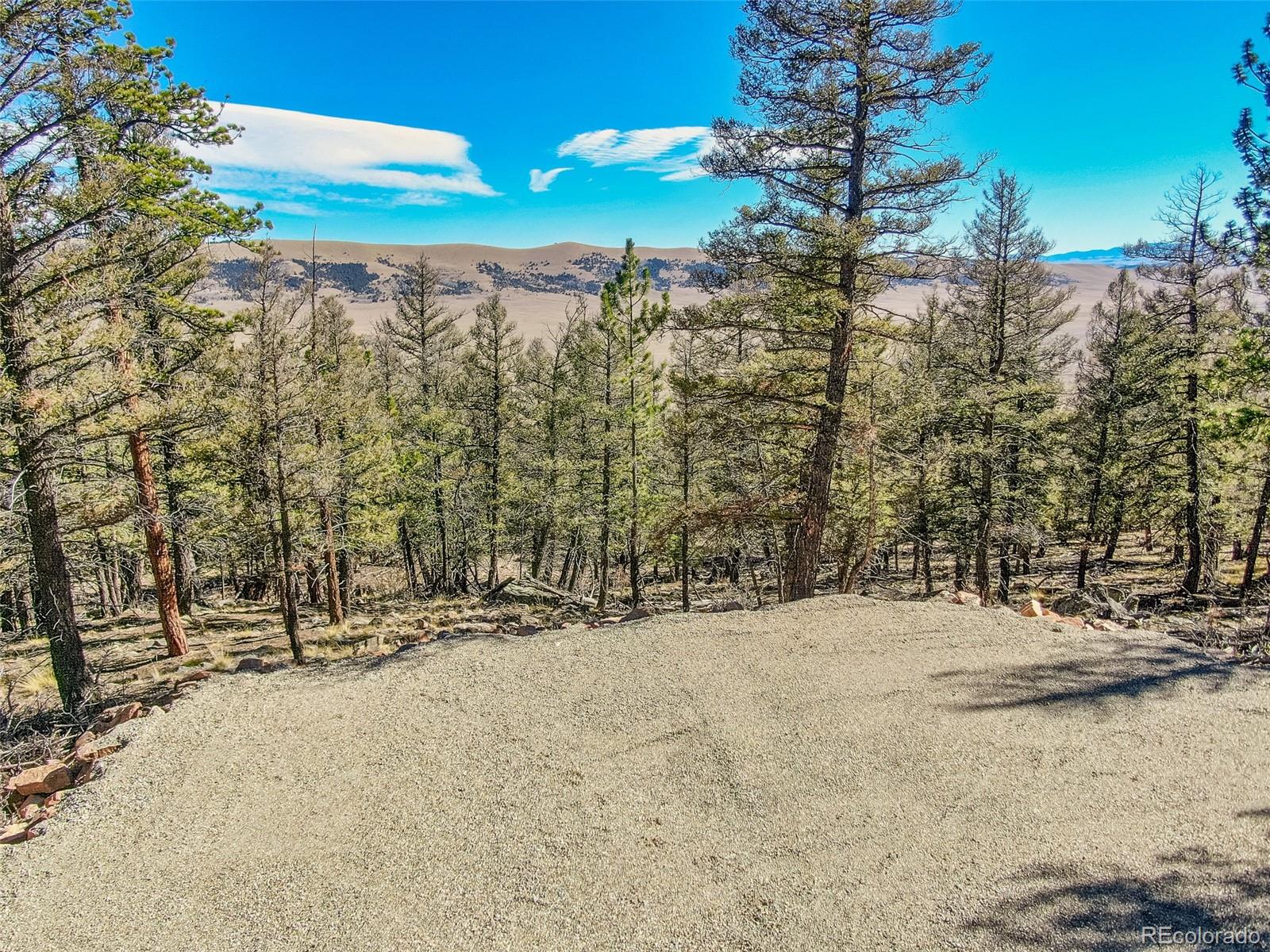 4538 Middle Fork Vista Fairplay CO 80440