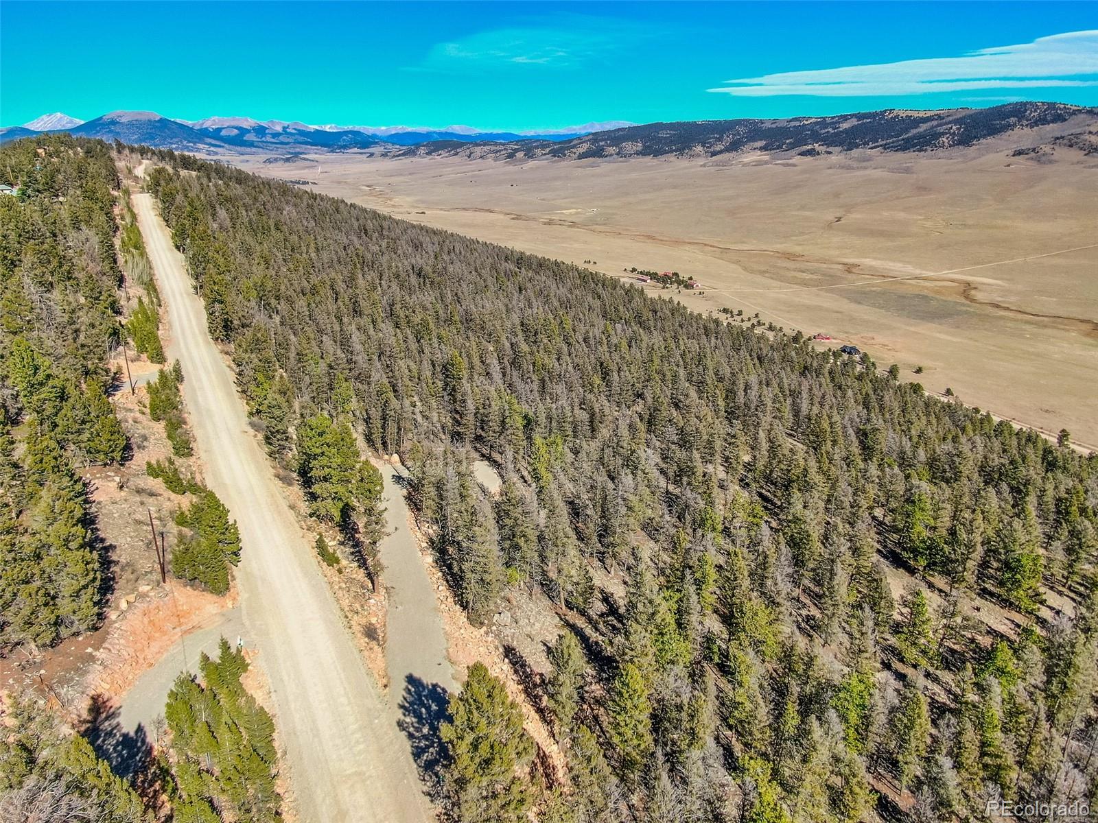 4538 Middle Fork Vista Fairplay CO 80440