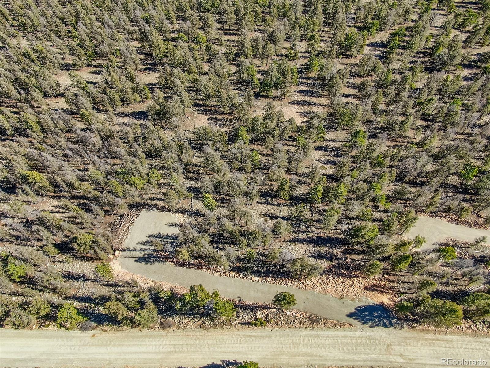 4538 Middle Fork Vista Fairplay CO 80440