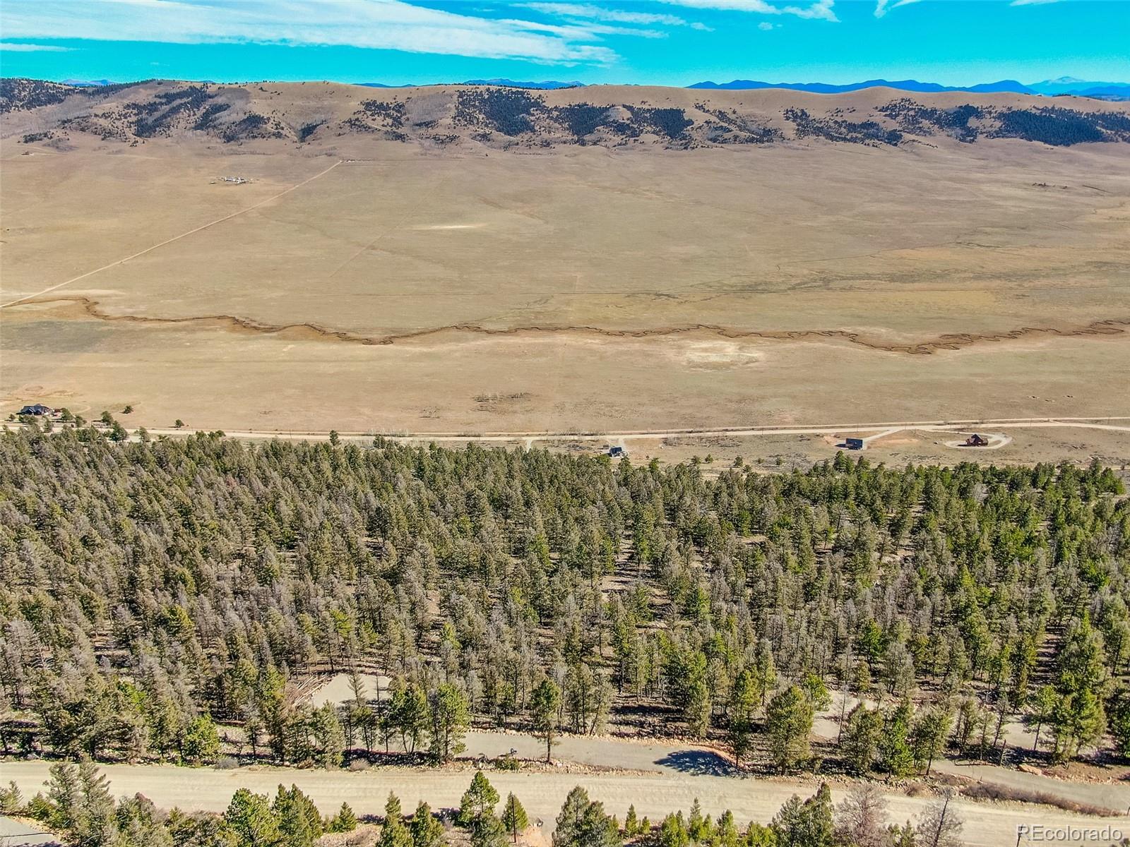 4538 Middle Fork Vista Fairplay CO 80440