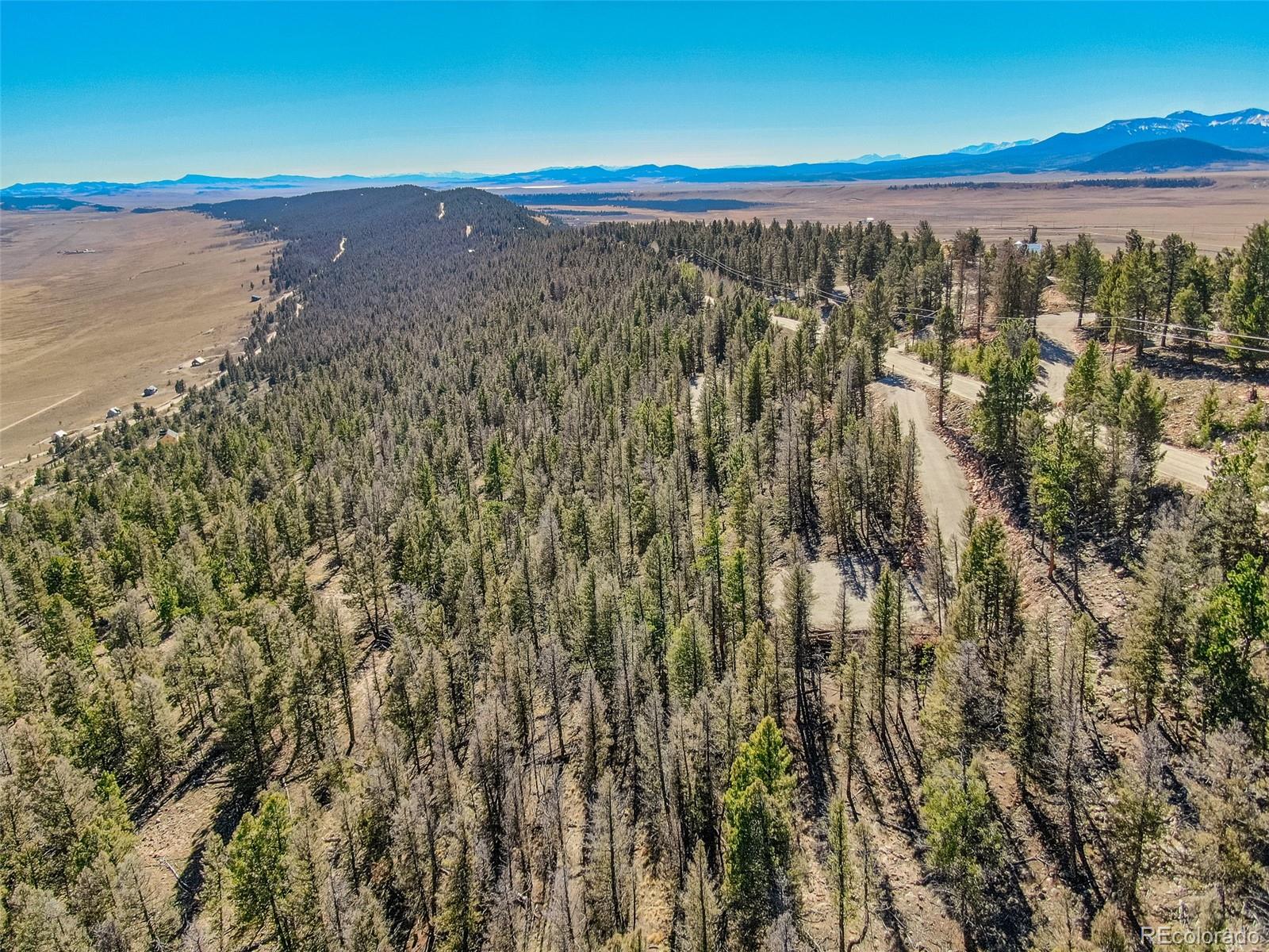 4538 Middle Fork Vista Fairplay CO 80440