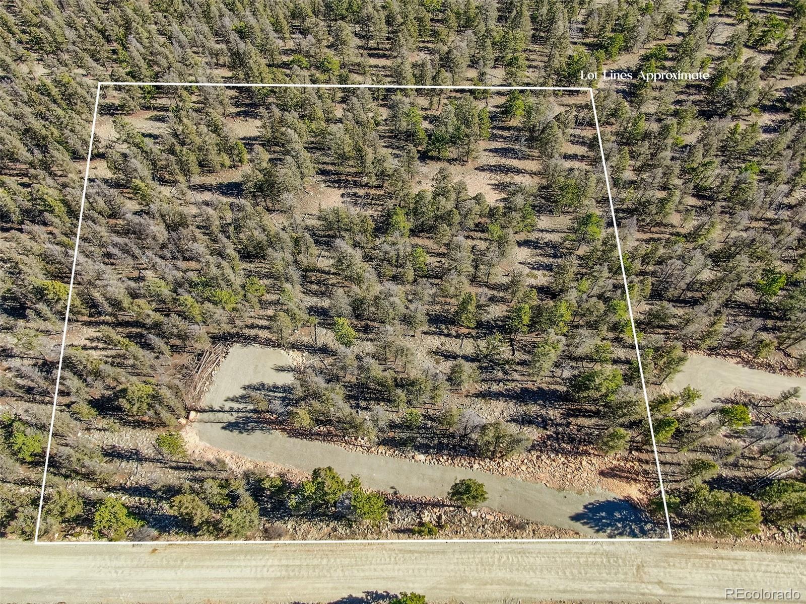 4538 Middle Fork Vista Fairplay CO 80440