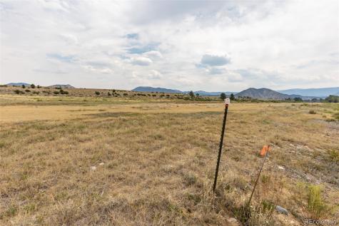 24265 River Rock Lane Buena Vista CO 81211