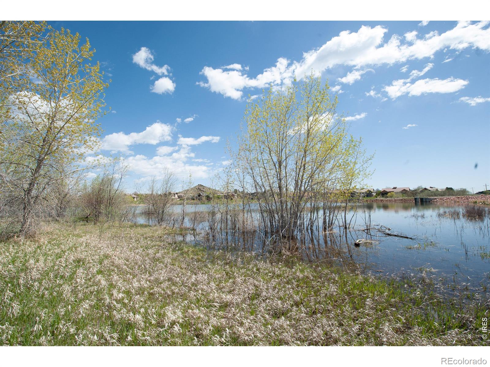 4953 W 1st Street Loveland CO 80537