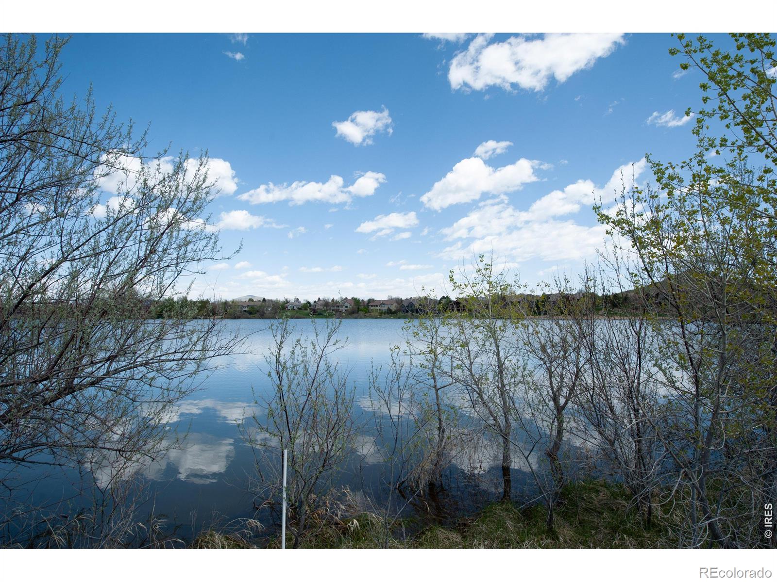 4953 W 1st Street Loveland CO 80537