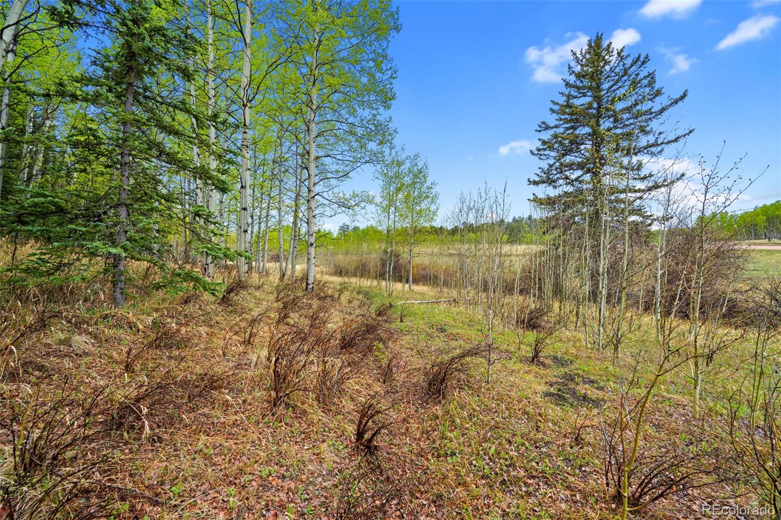 522 Hidden Valley Drive Lake George CO 80827
