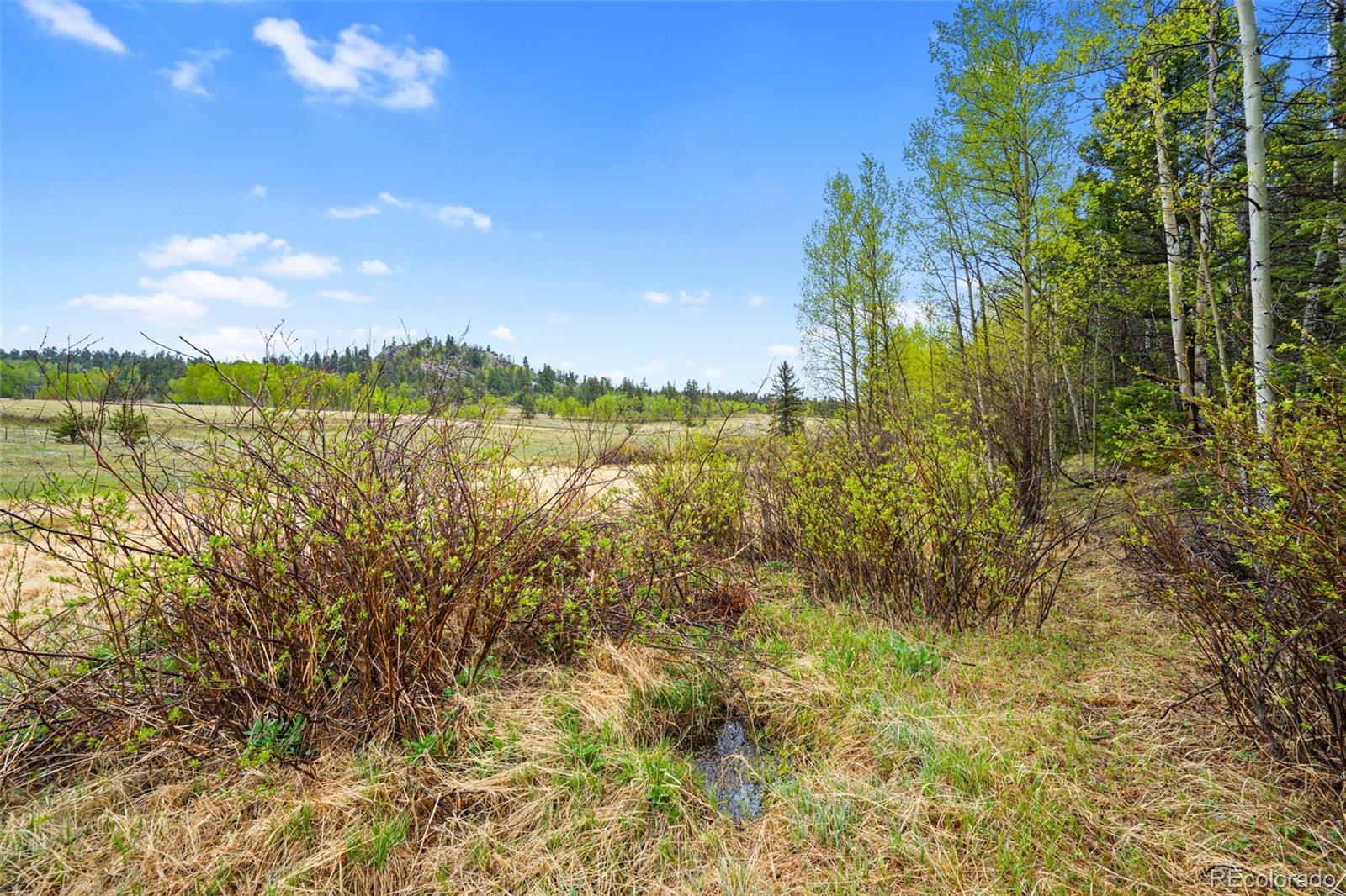 522 Hidden Valley Drive Lake George CO 80827