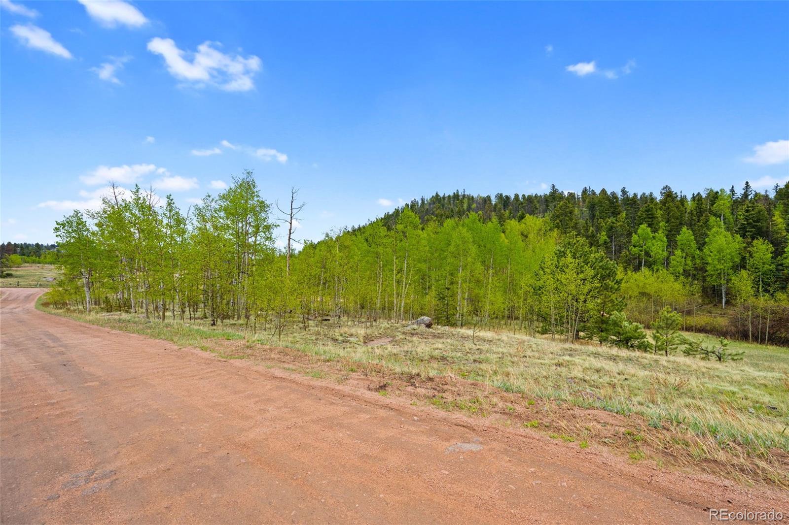522 Hidden Valley Drive Lake George CO 80827