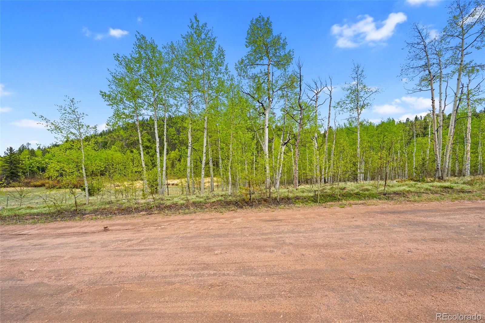 522 Hidden Valley Drive Lake George CO 80827