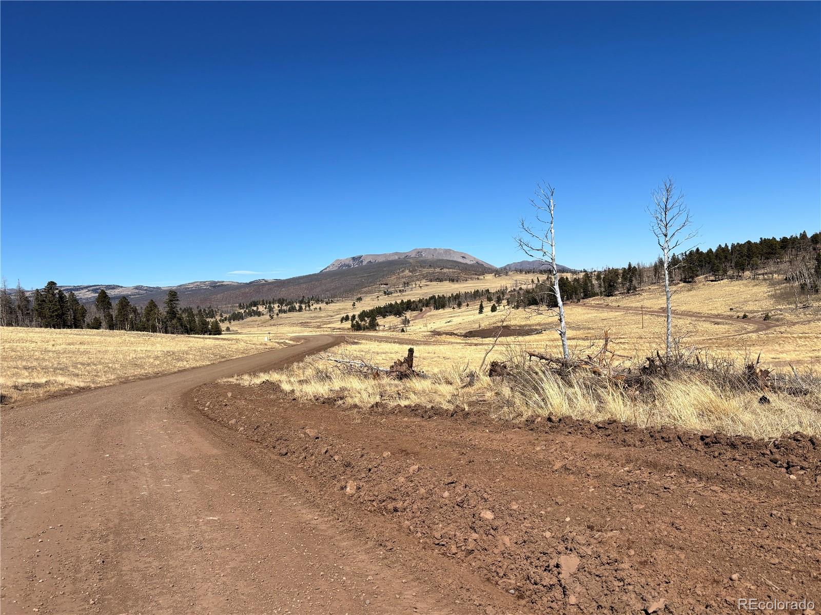 00 Forbes Park Road Fort Garland CO 81133
