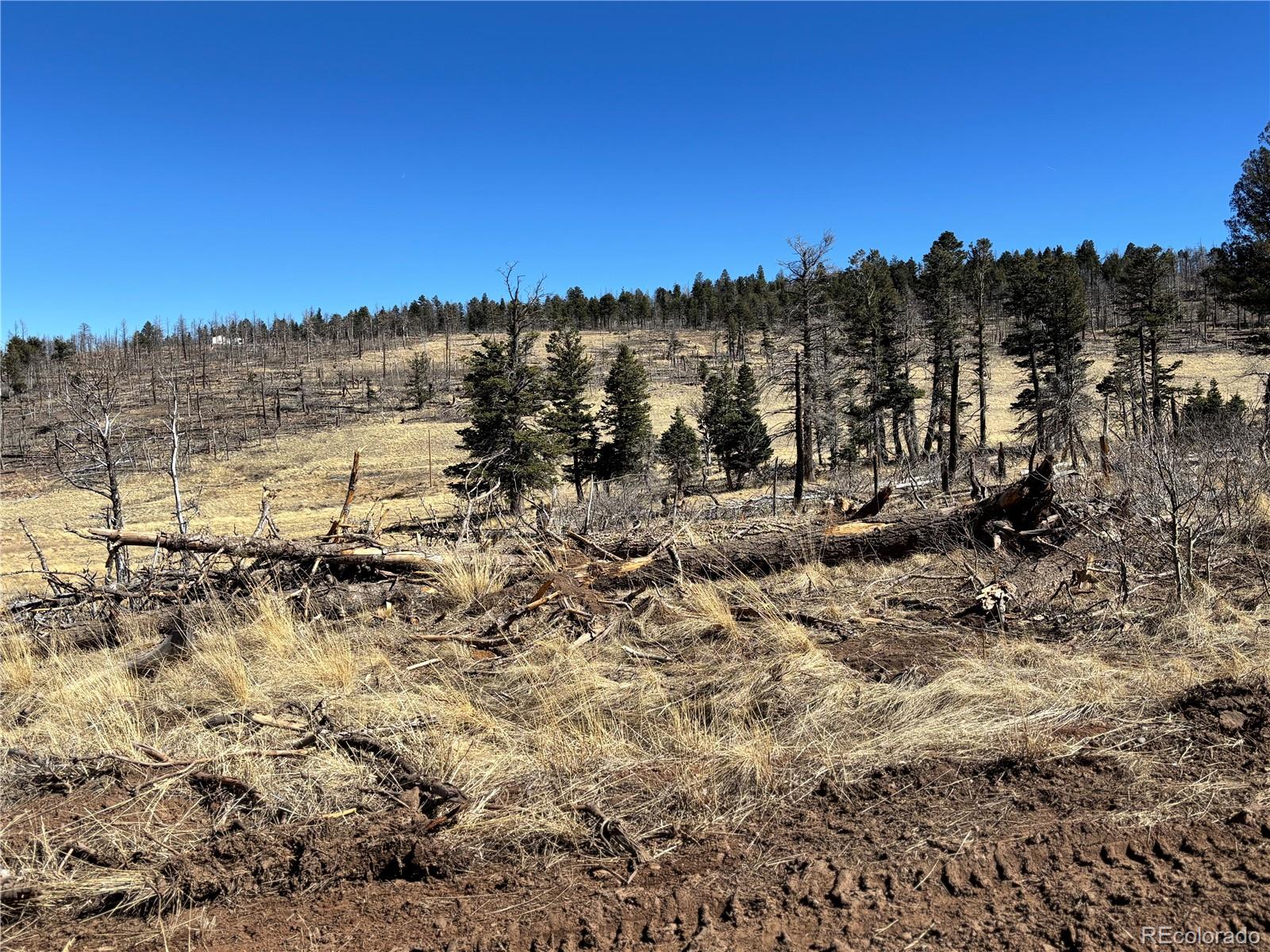 00 Forbes Park Road Fort Garland CO 81133