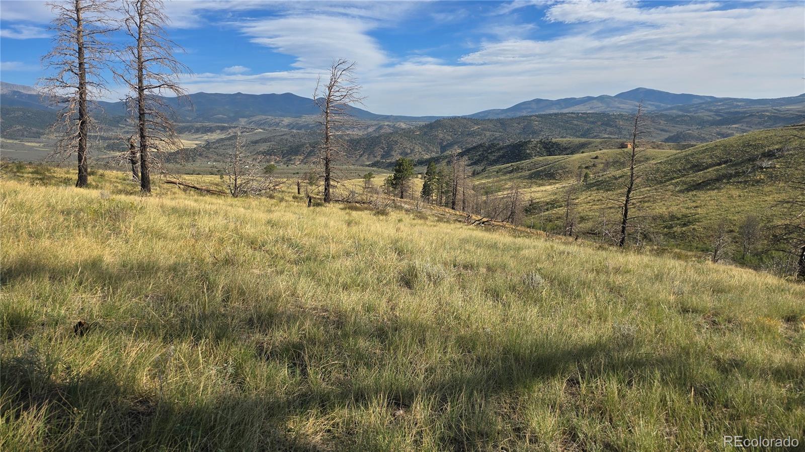 Lot 7719 Hallstein Road Fort Garland CO 81133