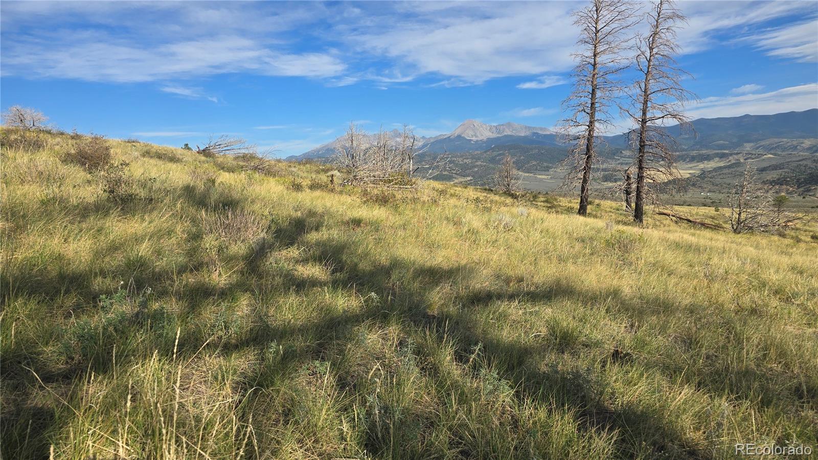 Lot 7719 Hallstein Road Fort Garland CO 81133