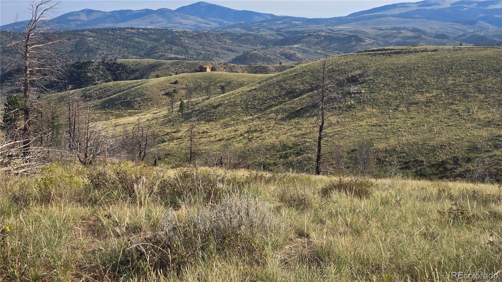 Lot 7719 Hallstein Road Fort Garland CO 81133