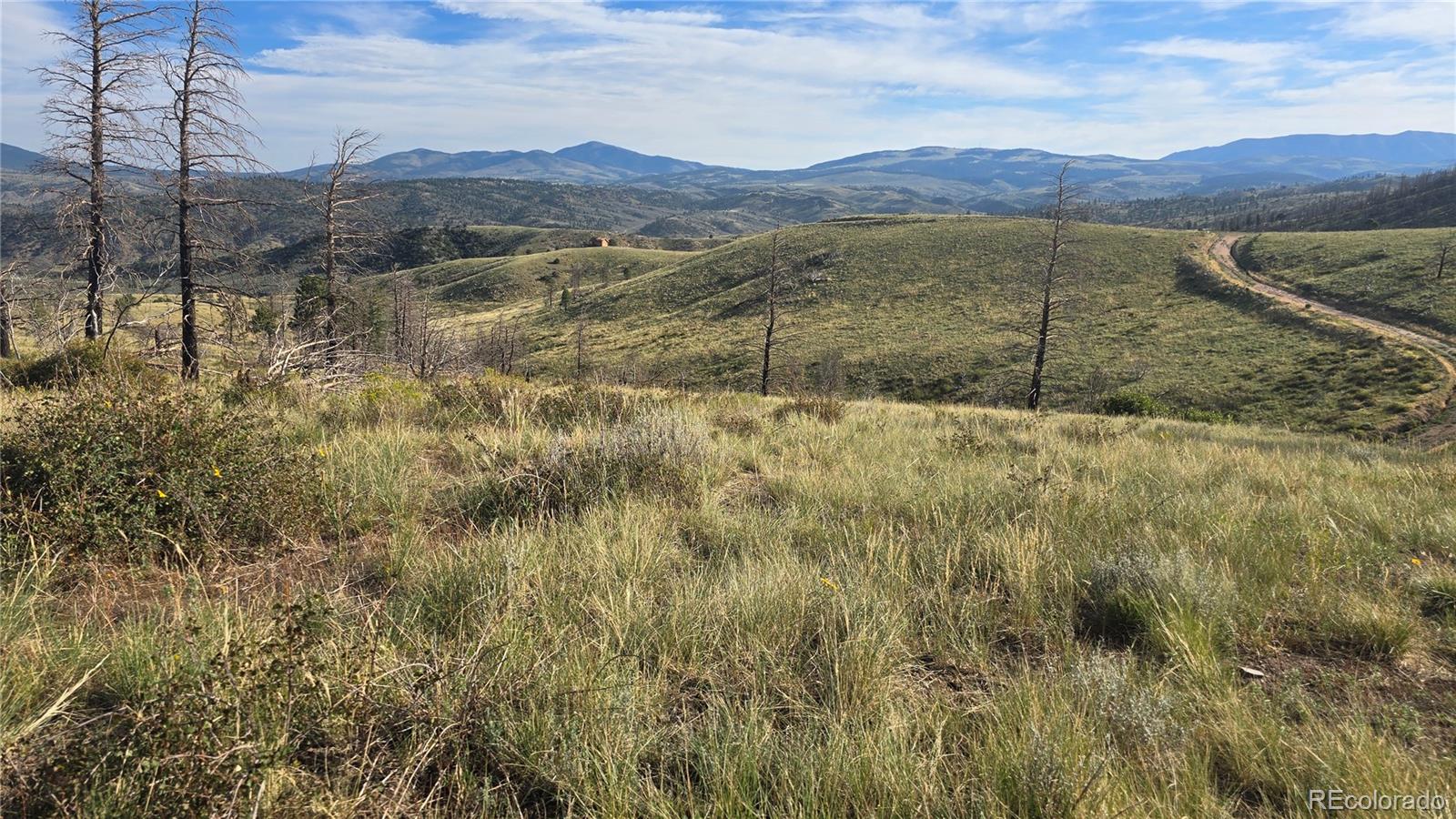Lot 7719 Hallstein Road Fort Garland CO 81133