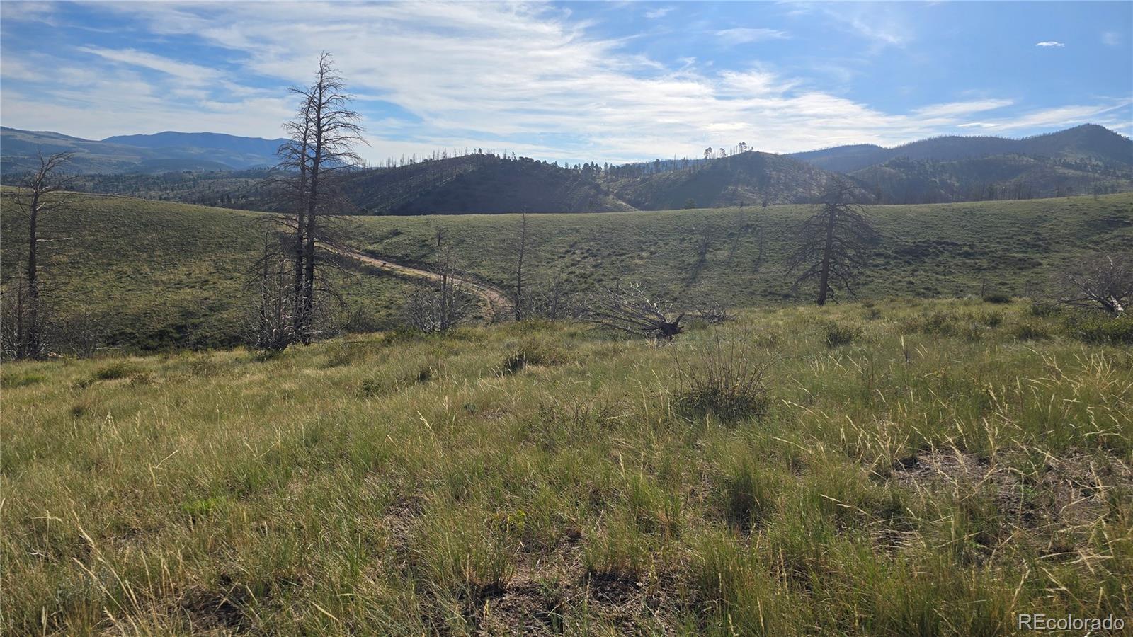 Lot 7719 Hallstein Road Fort Garland CO 81133