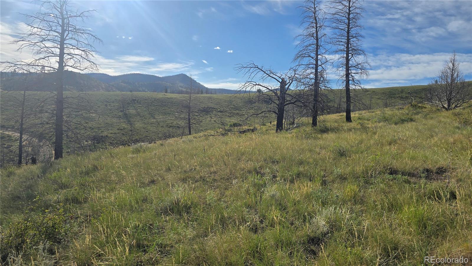 Lot 7719 Hallstein Road Fort Garland CO 81133