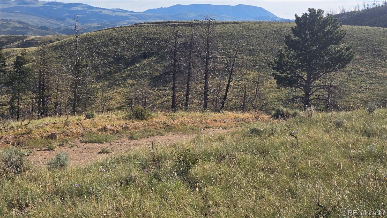 Lot 7719 Hallstein Road Fort Garland CO 81133