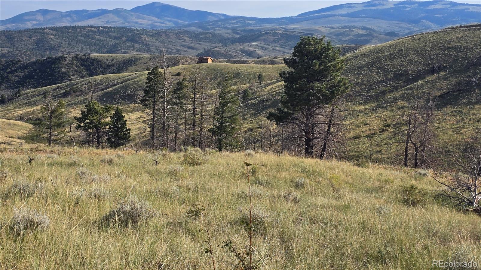 Lot 7719 Hallstein Road Fort Garland CO 81133