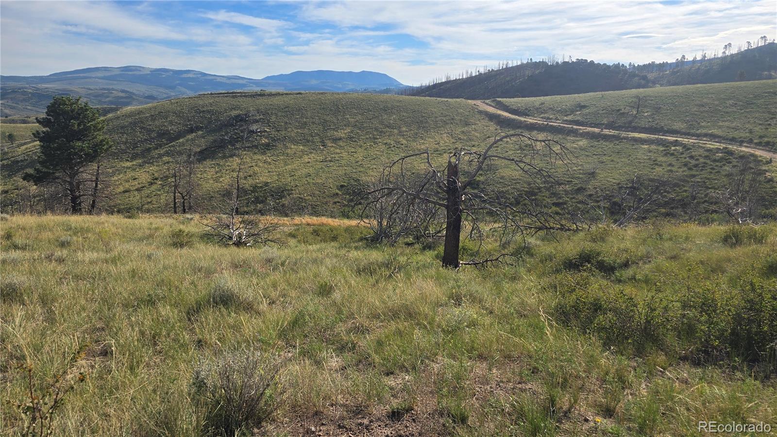 Lot 7719 Hallstein Road Fort Garland CO 81133