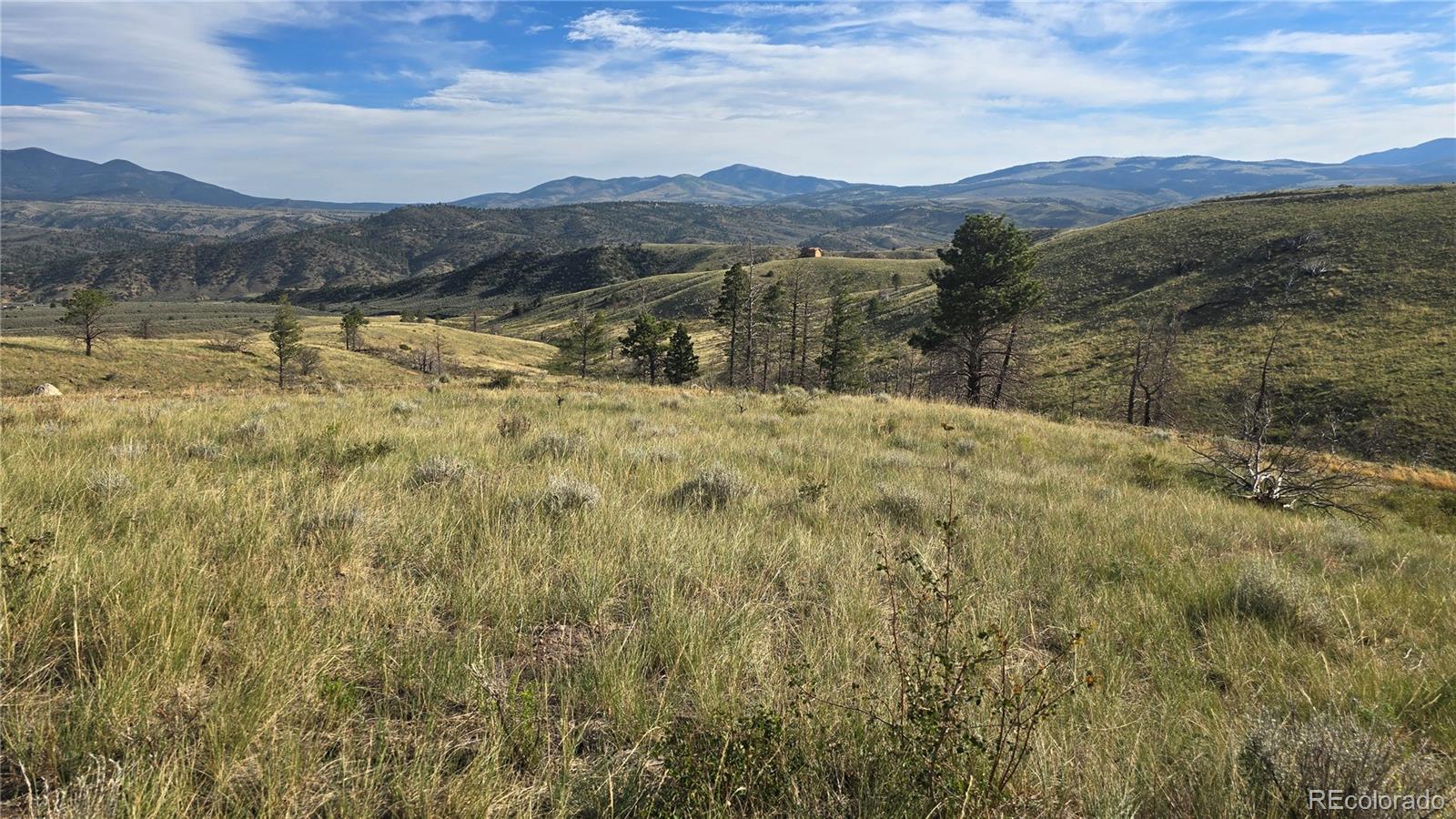 Lot 7719 Hallstein Road Fort Garland CO 81133