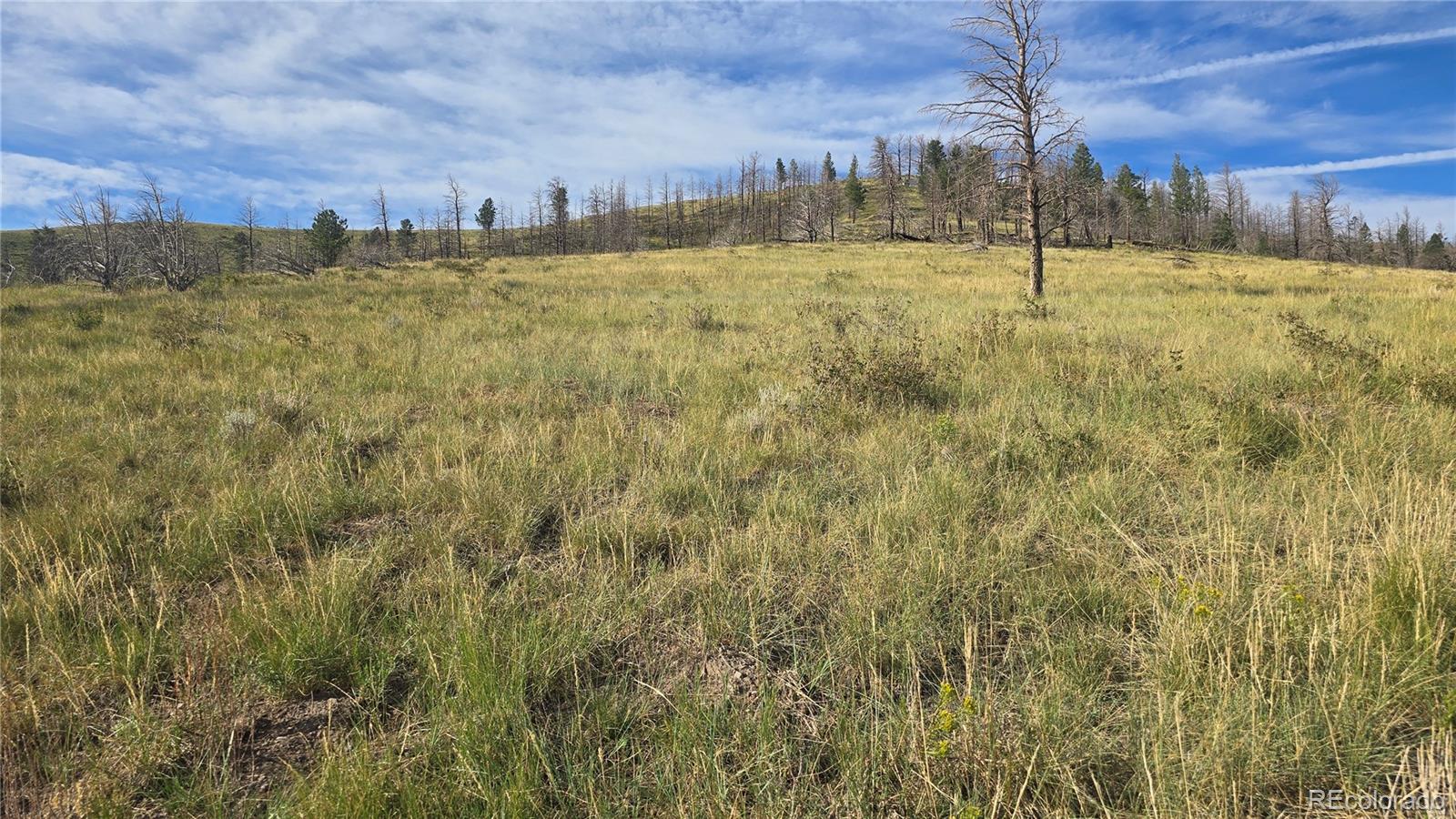 Lot 7719 Hallstein Road Fort Garland CO 81133