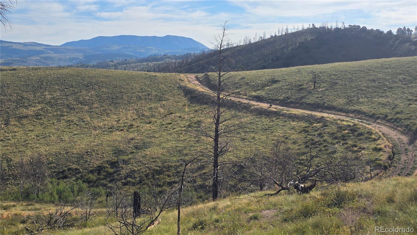 Lot 7719 Hallstein Road Fort Garland CO 81133