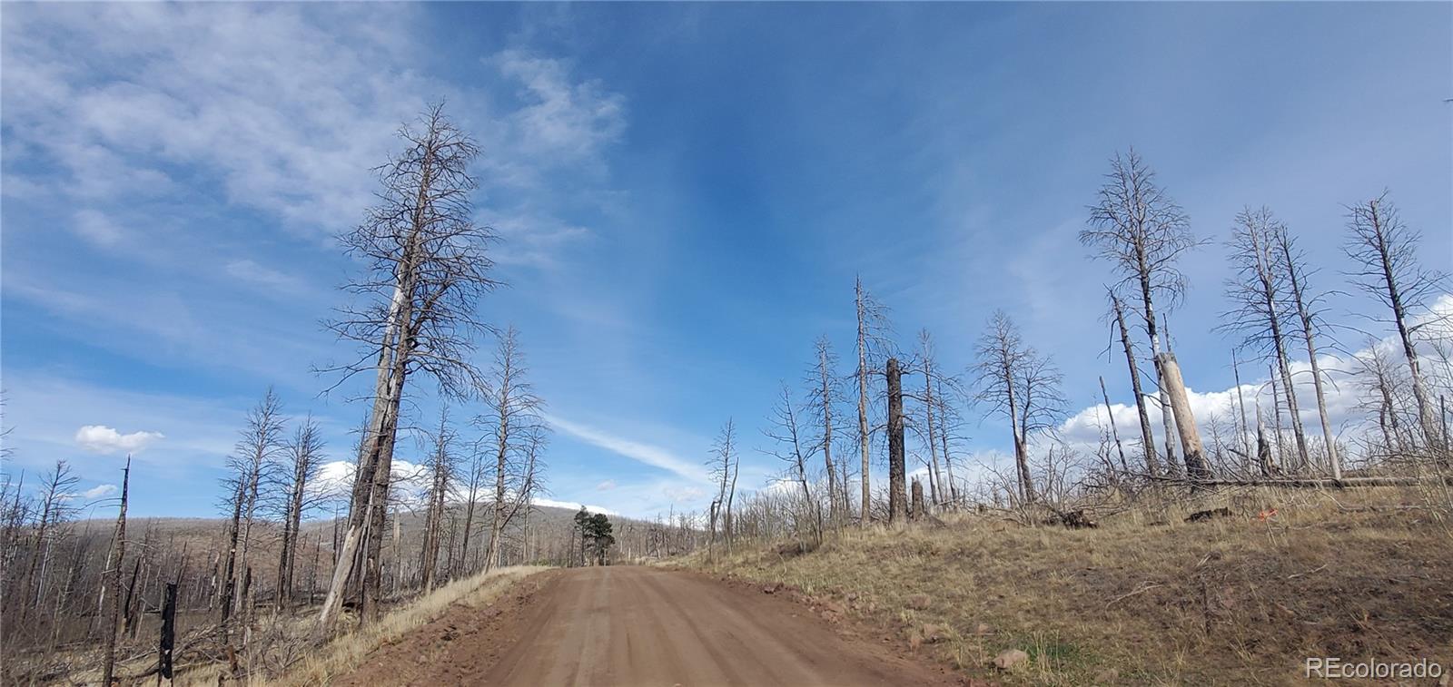 Lot 1223 Emery Loop Fort Garland CO 81133