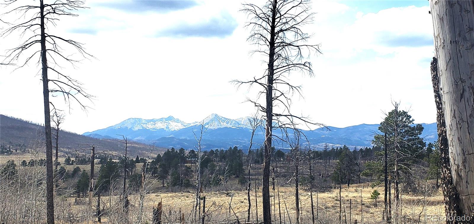 Lot 1223 Emery Loop Fort Garland CO 81133