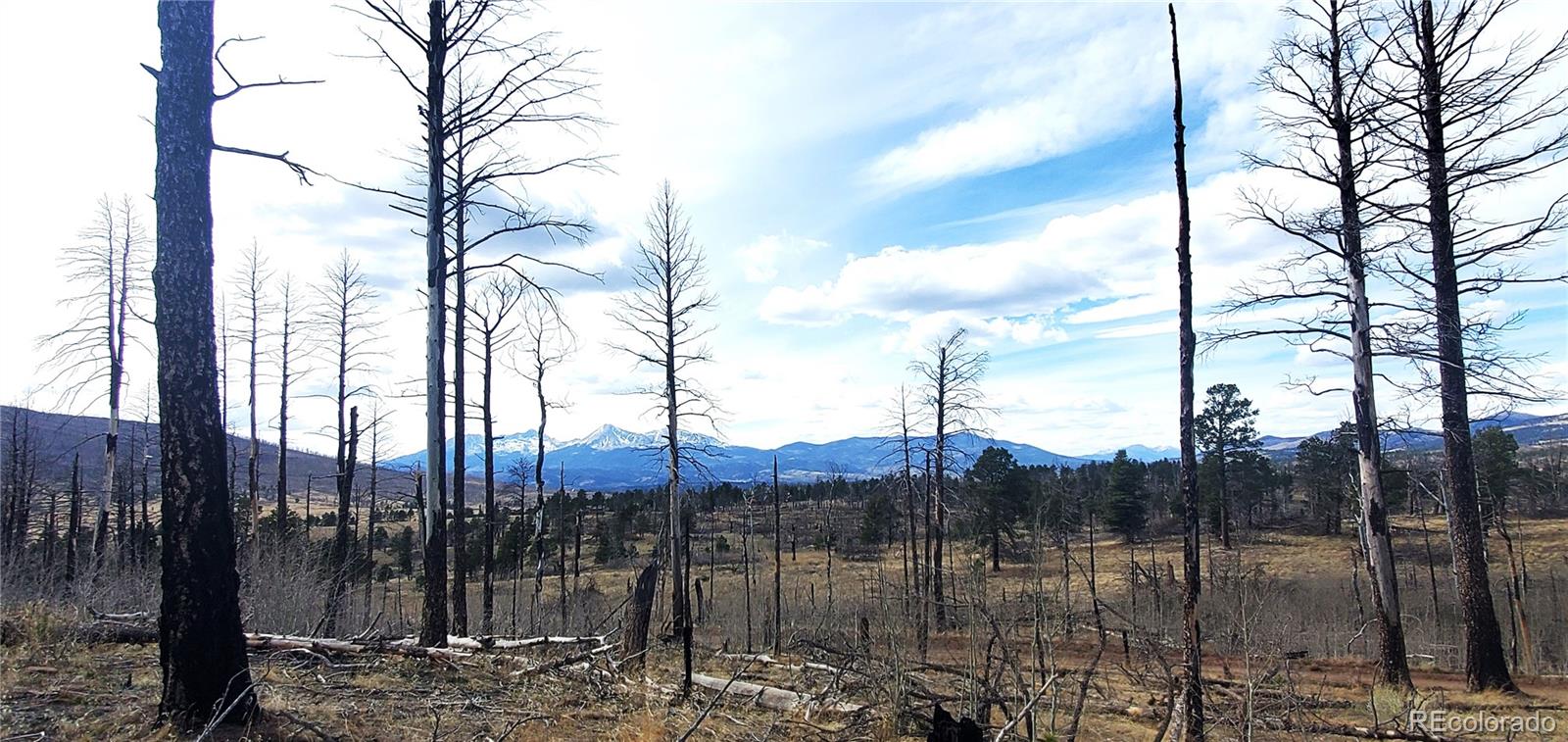 Lot 1223 Emery Loop Fort Garland CO 81133