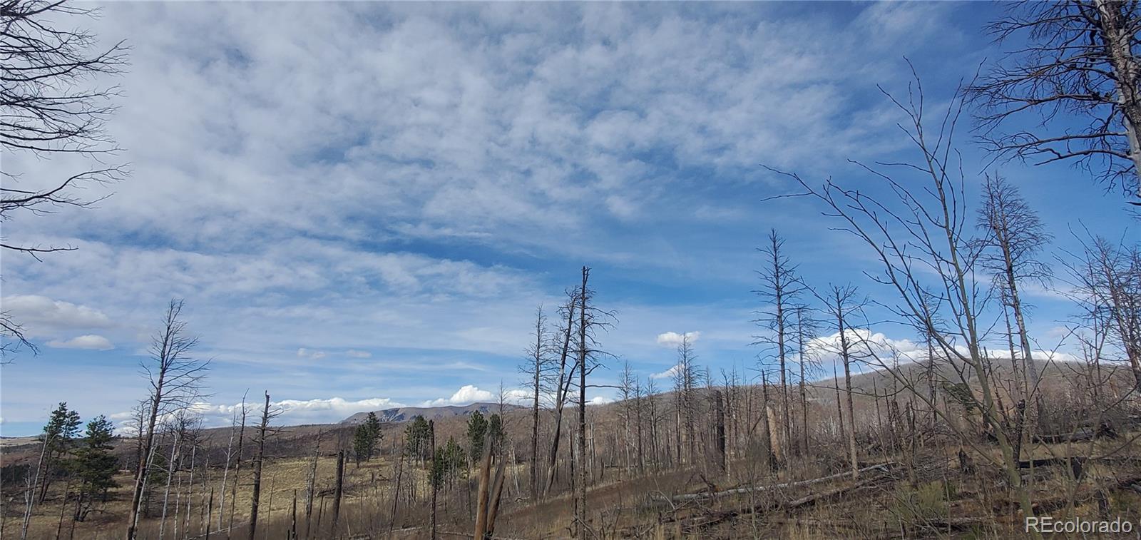 Lot 1223 Emery Loop Fort Garland CO 81133