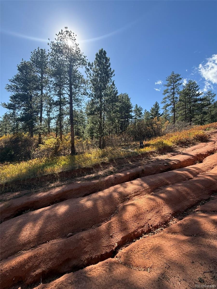 Larkspur CO, 8181 Bannock Drive