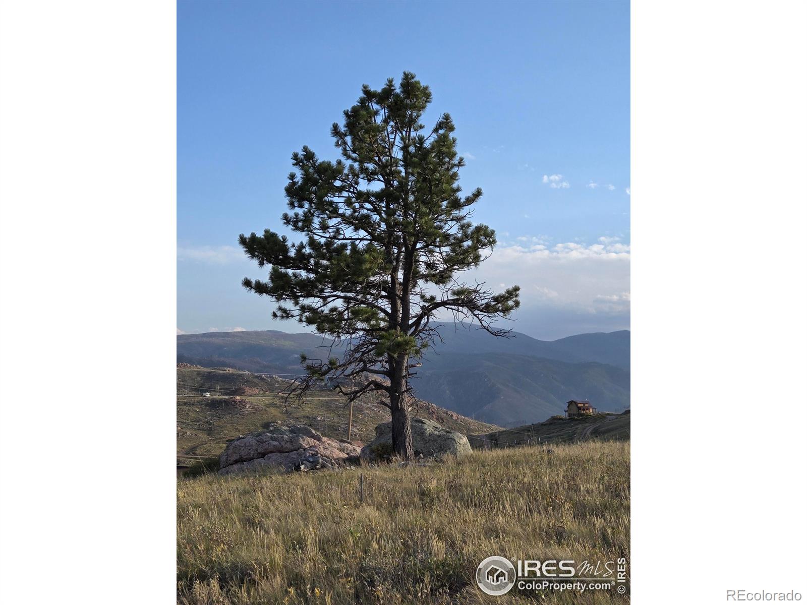 443 Meadow Mountain Drive Livermore CO 80536