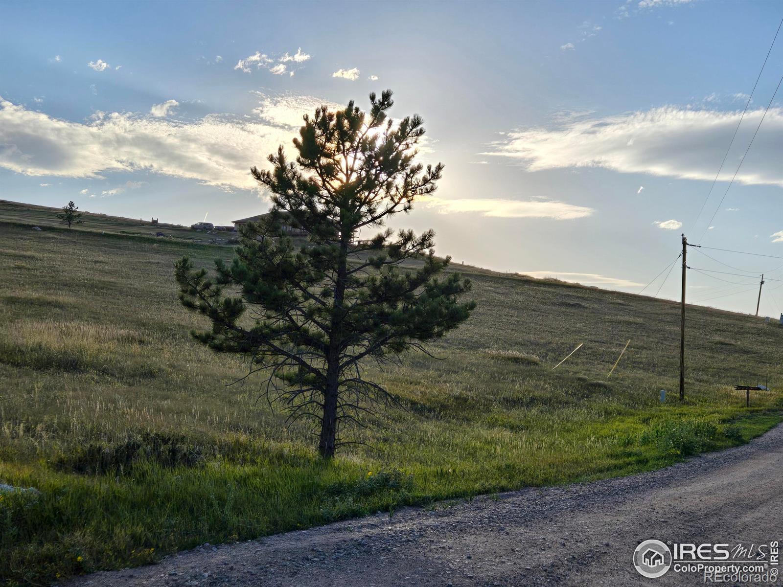 443 Meadow Mountain Drive Livermore CO 80536