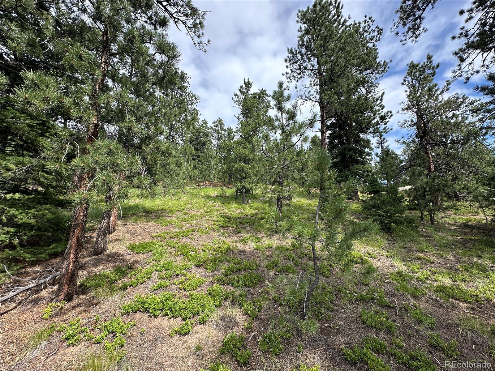 116 Happy Valley Manitou Springs CO 80829