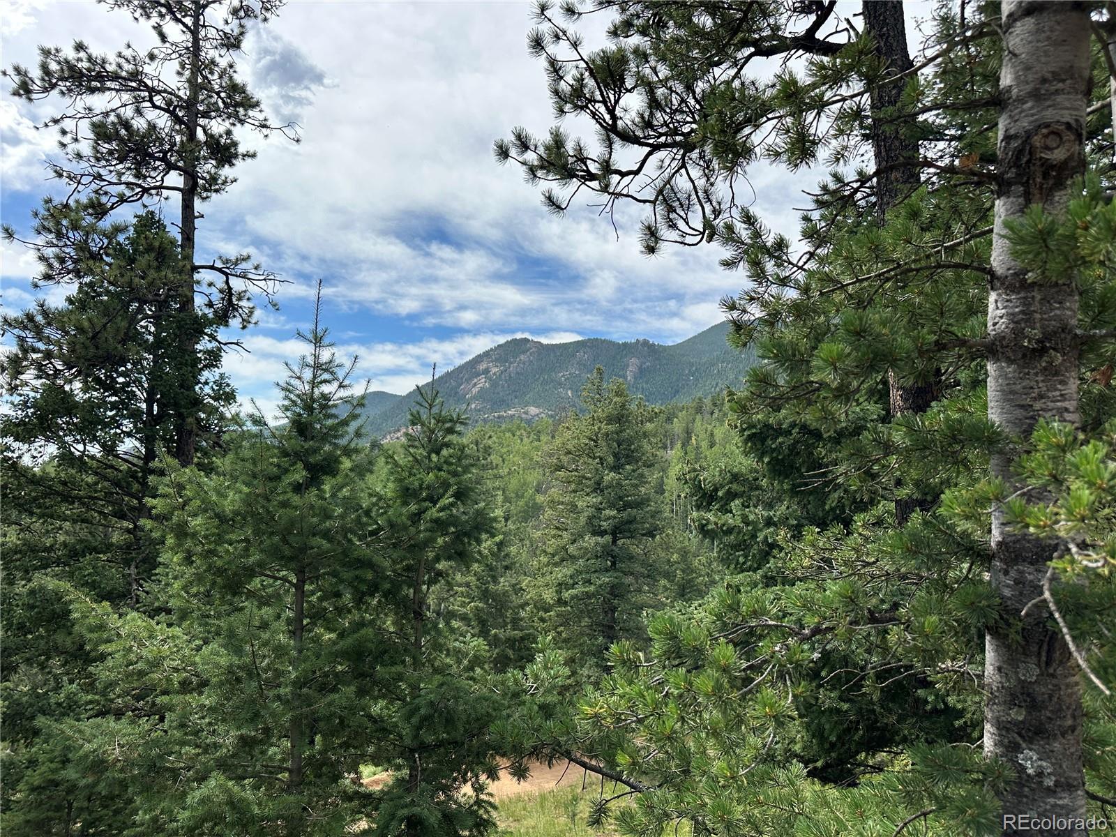 116 Happy Valley Manitou Springs CO 80829