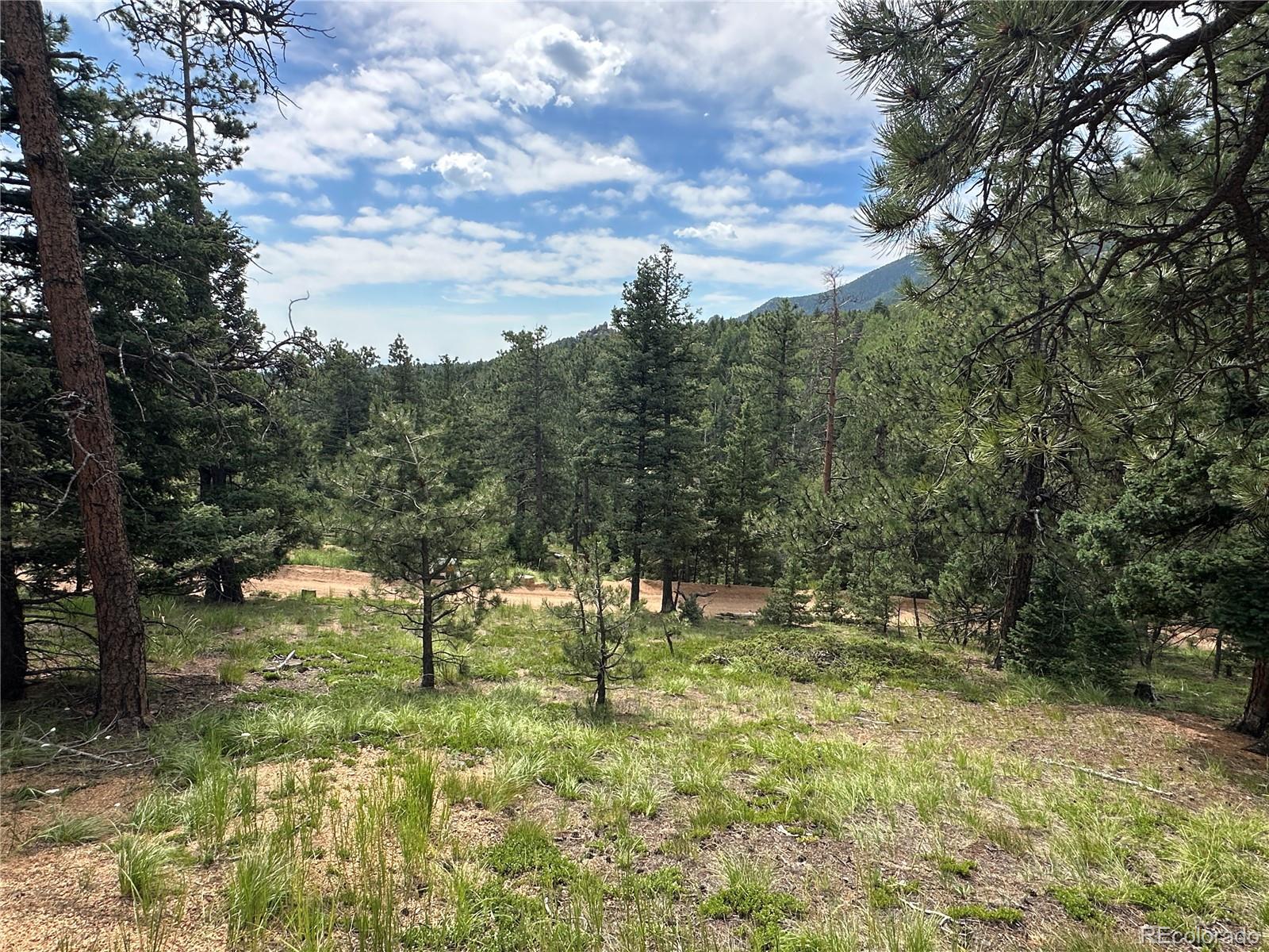116 Happy Valley Manitou Springs CO 80829