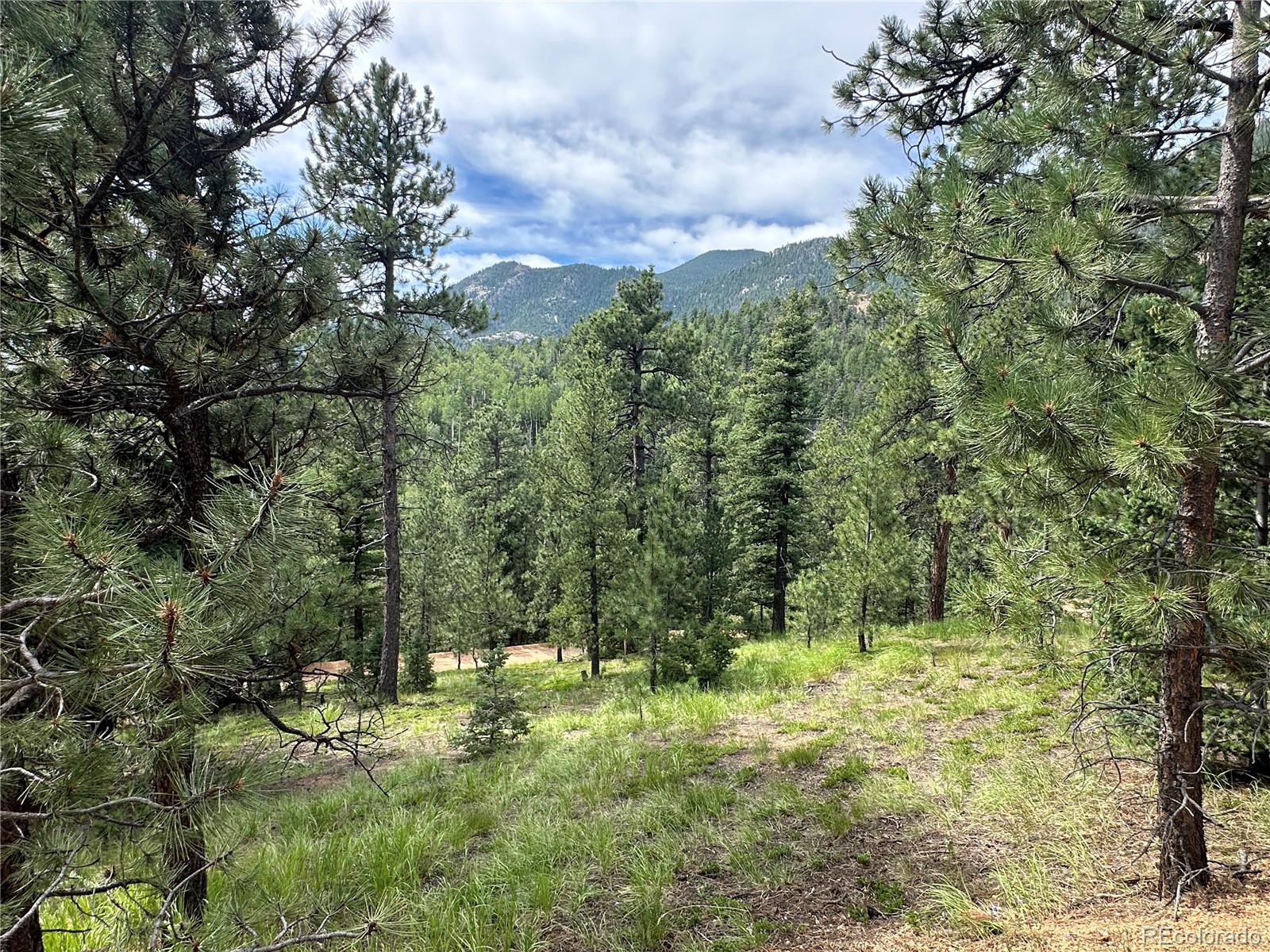 116 Happy Valley Manitou Springs CO 80829