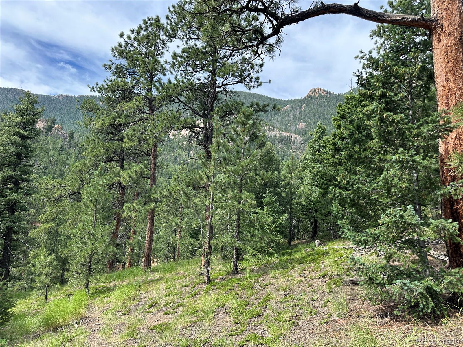 116 Happy Valley Manitou Springs CO 80829