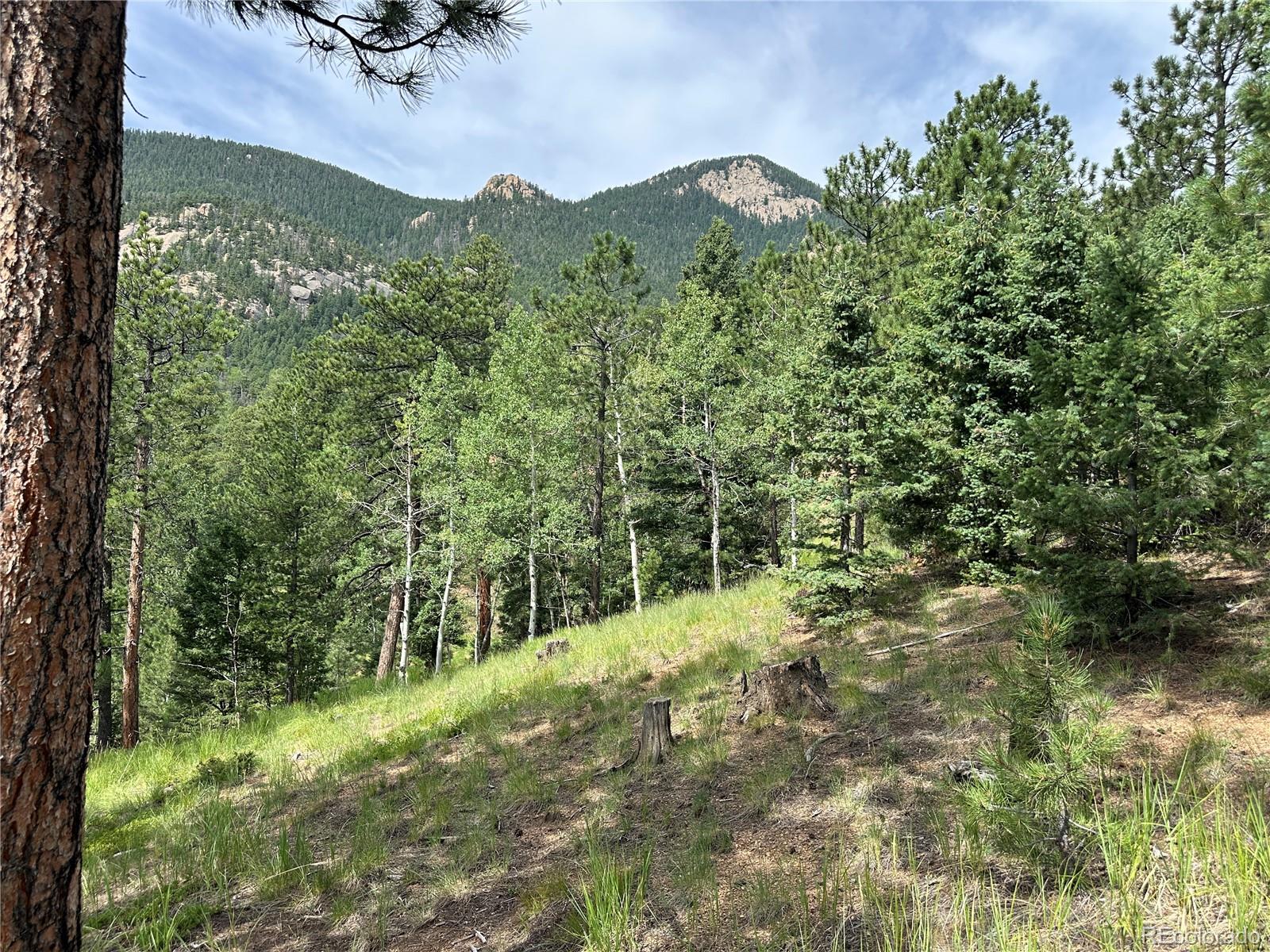 116 Happy Valley Manitou Springs CO 80829