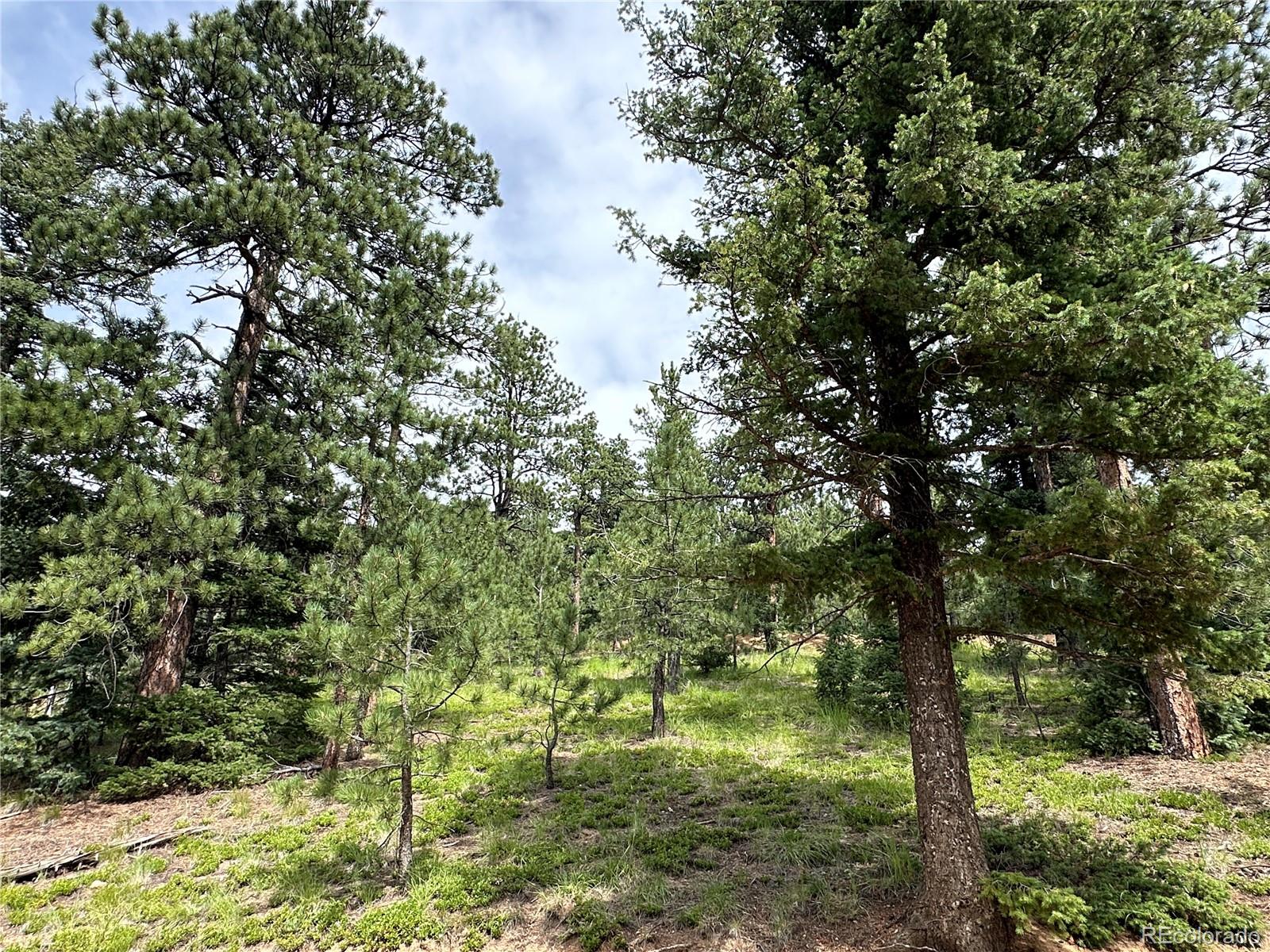116 Happy Valley Manitou Springs CO 80829