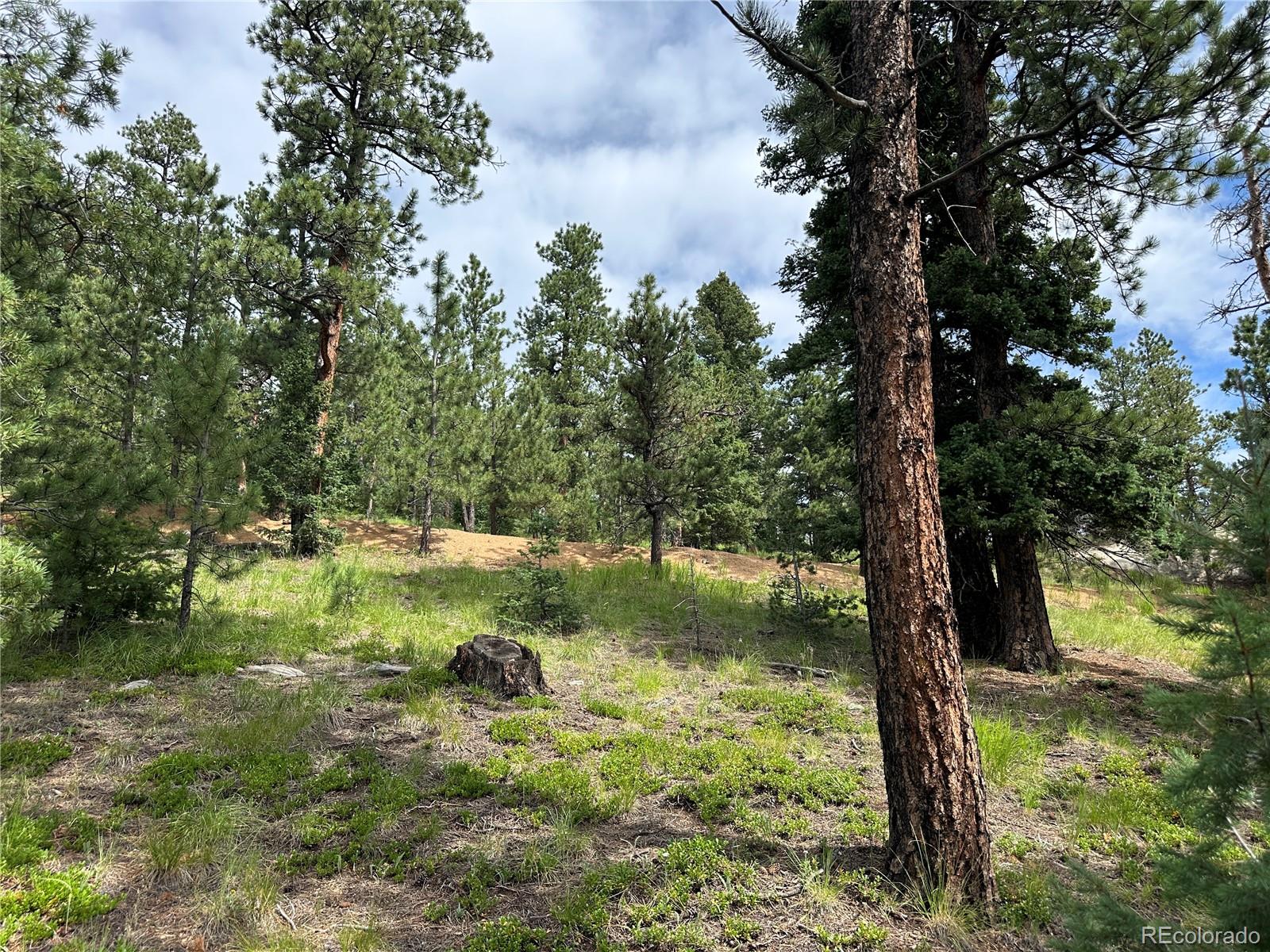 116 Happy Valley Manitou Springs CO 80829