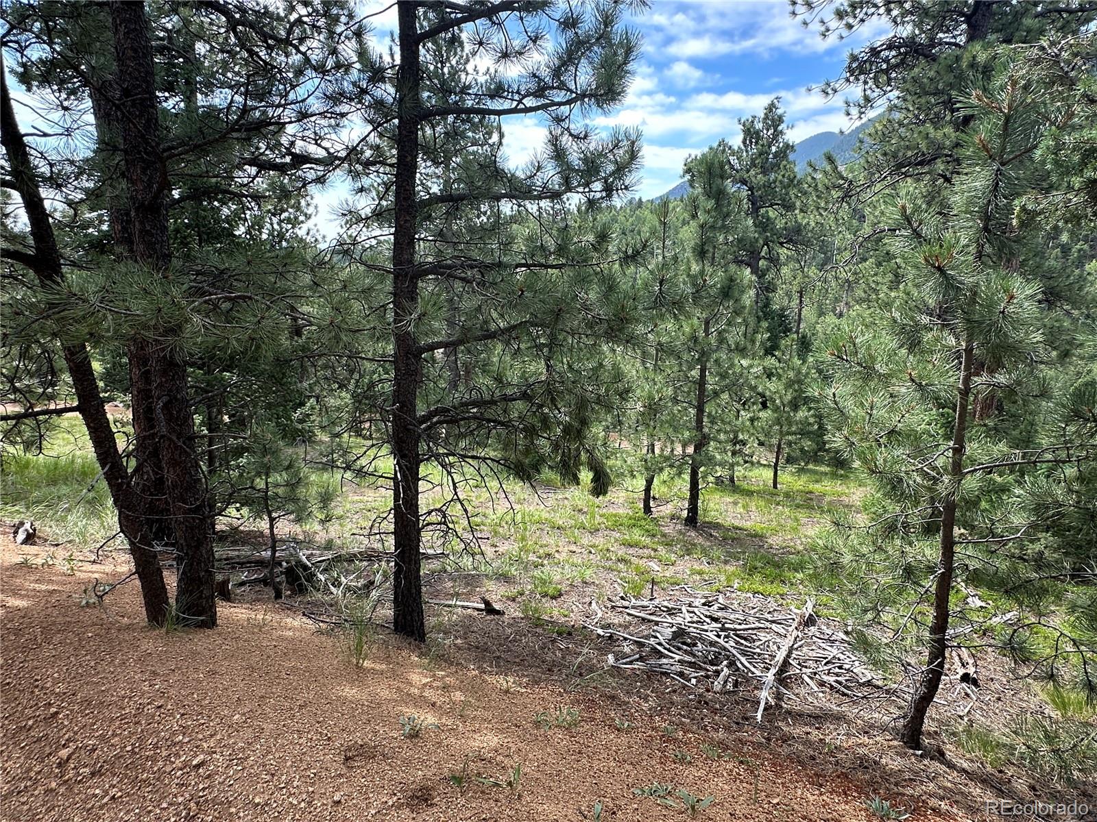 116 Happy Valley Manitou Springs CO 80829