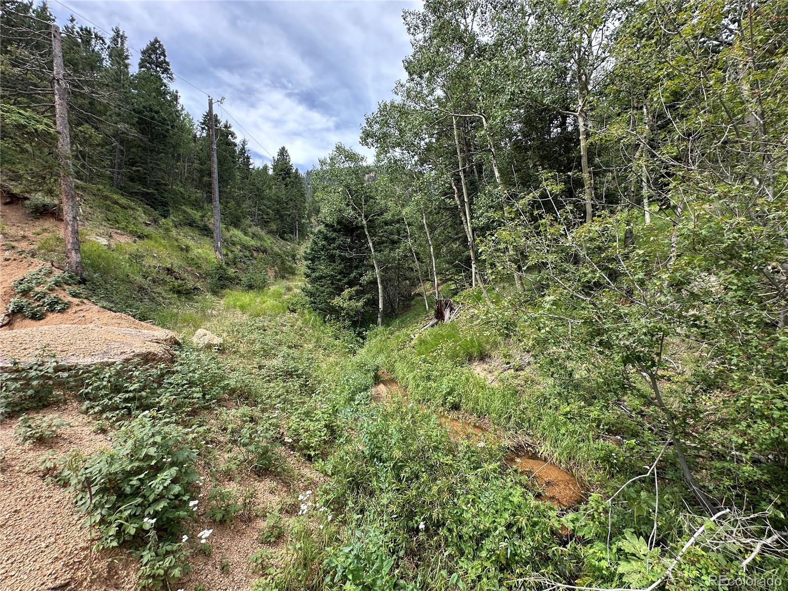 116 Happy Valley Manitou Springs CO 80829