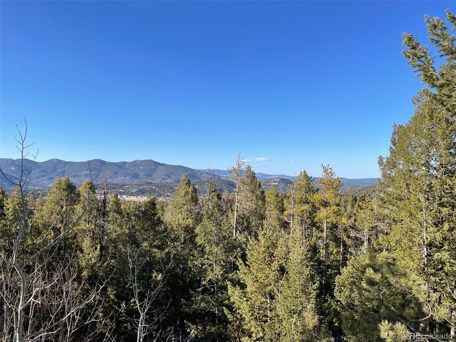33131 Lynx Lane Evergreen CO 80439