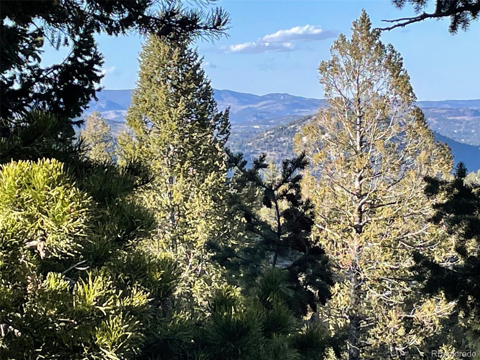 33131 Lynx Lane Evergreen CO 80439
