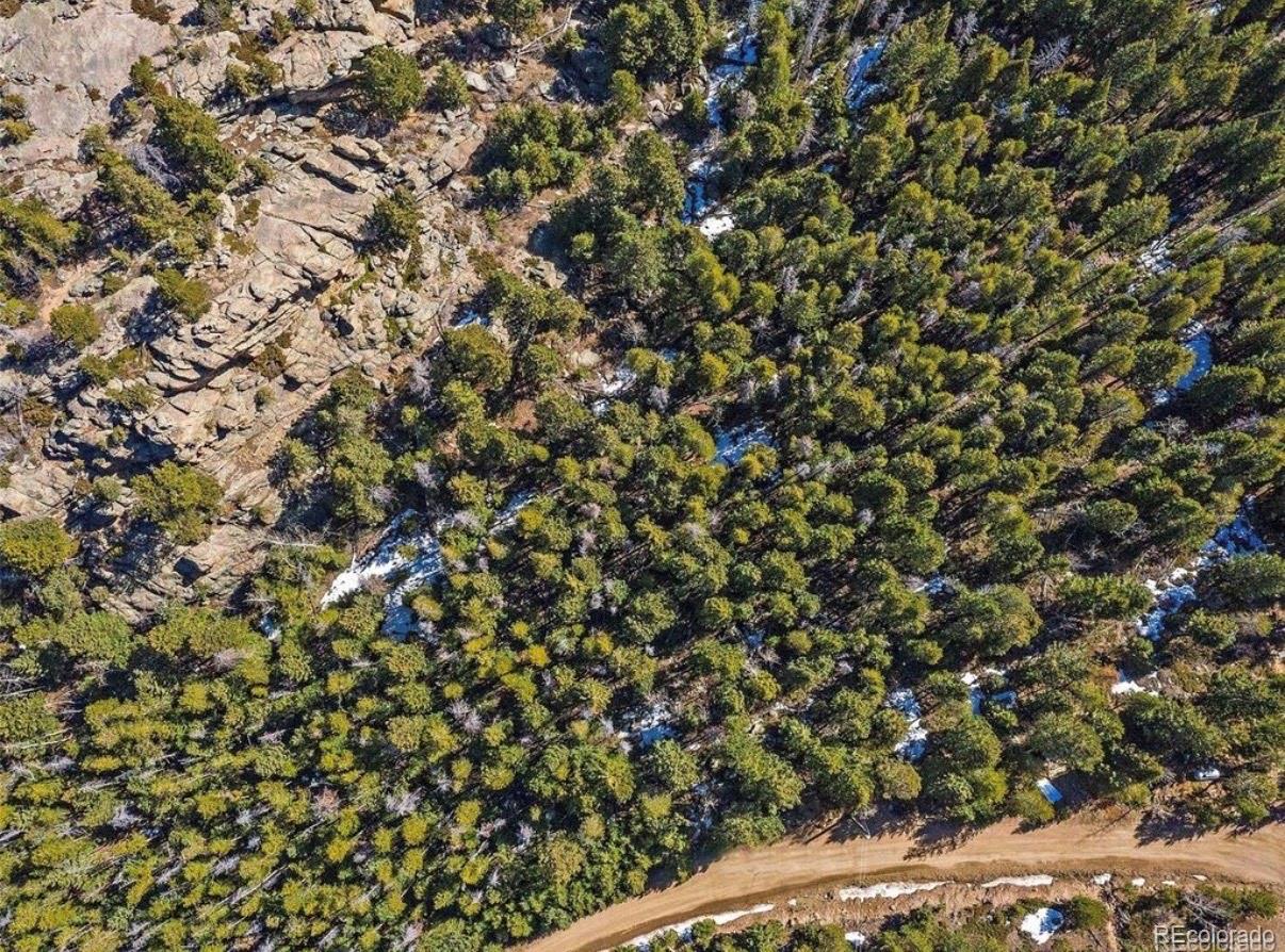 33131 Lynx Lane Evergreen CO 80439